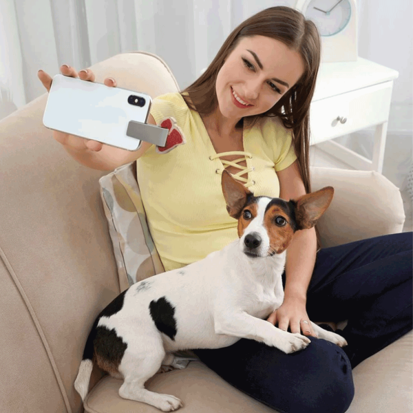 Howligans Grey Woofie Pet Photography Tool Sale - Image 5